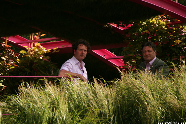 Irish Sky Garden