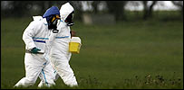 flu3_203_100.jpg