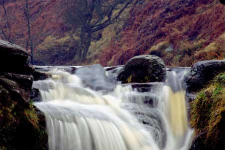 Three Shires Head