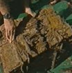 Recovered artefact