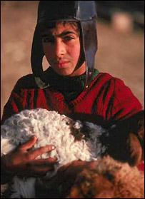چوپان بچه
