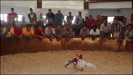 080529juegogrande.jpg