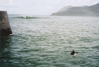  Mundaka paddle out