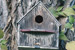Bird box