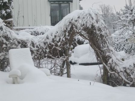 spring8.jpg
