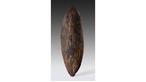 Australian bark shield