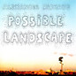 Review of Possible Landscape