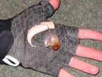 Julie's hearing aid