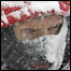 EUA sob neve