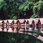 Jungle lodgings...