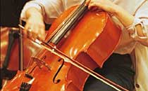 cello