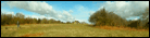 Click to see our image taen at Racecourse Common, Oswestry