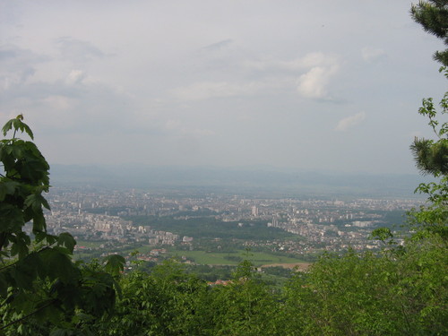 87503.jpg
