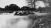 Bin Pinhole