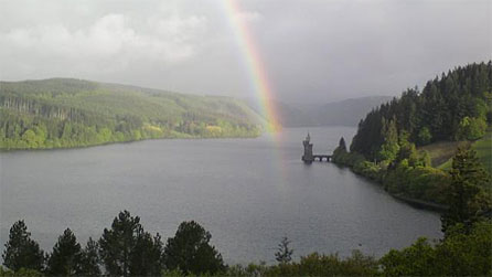 rainbow_02.jpg