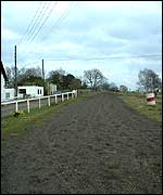 Year round gallop