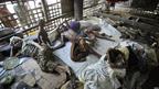 Rakhine
