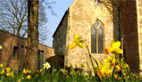 York Early Music Festival