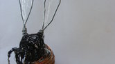 Wire wasp