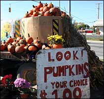 pumpkinpile.jpg