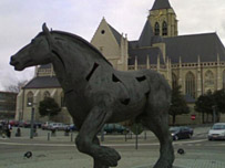 Belgian farm-horse