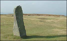 Mitchell's Fold