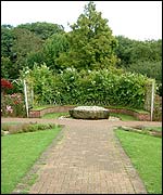 The chamomile seat