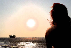 Cover shot of the Women They Left Behind