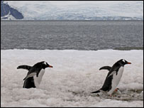 antarctica152.jpg