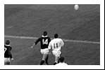 Tony Stanger scores