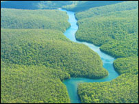 Hutan hujan Amazon