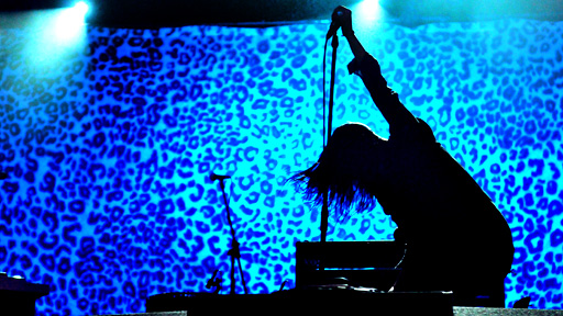 The Kills