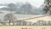 Countryside with hedgerows