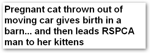 Daily Mail headline