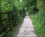 path