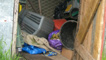 Our shed