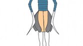 Design 3:Your...
