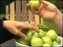 Home-grown tomatoes