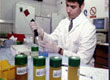 Medibot's Urine Sample Test