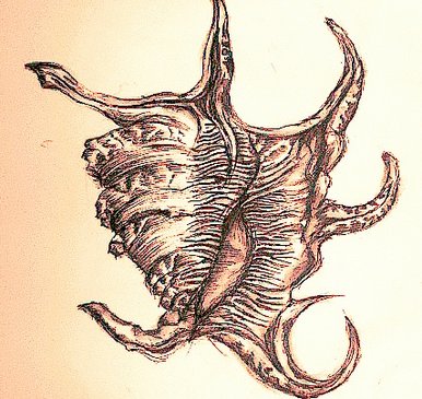 Shell