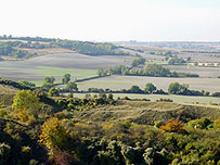 Sharpenhoe Clappers