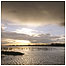 Ouse Washes c/o Andy Hay and RSPB Images