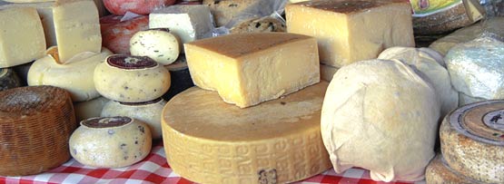 Cheese