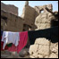 سرپناه