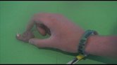 Animation Montage...