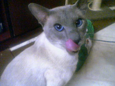 Lick
