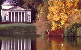 Stourhead woodland