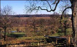 Marsh Benham