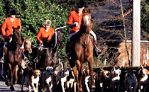 Hunt