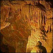 The caves